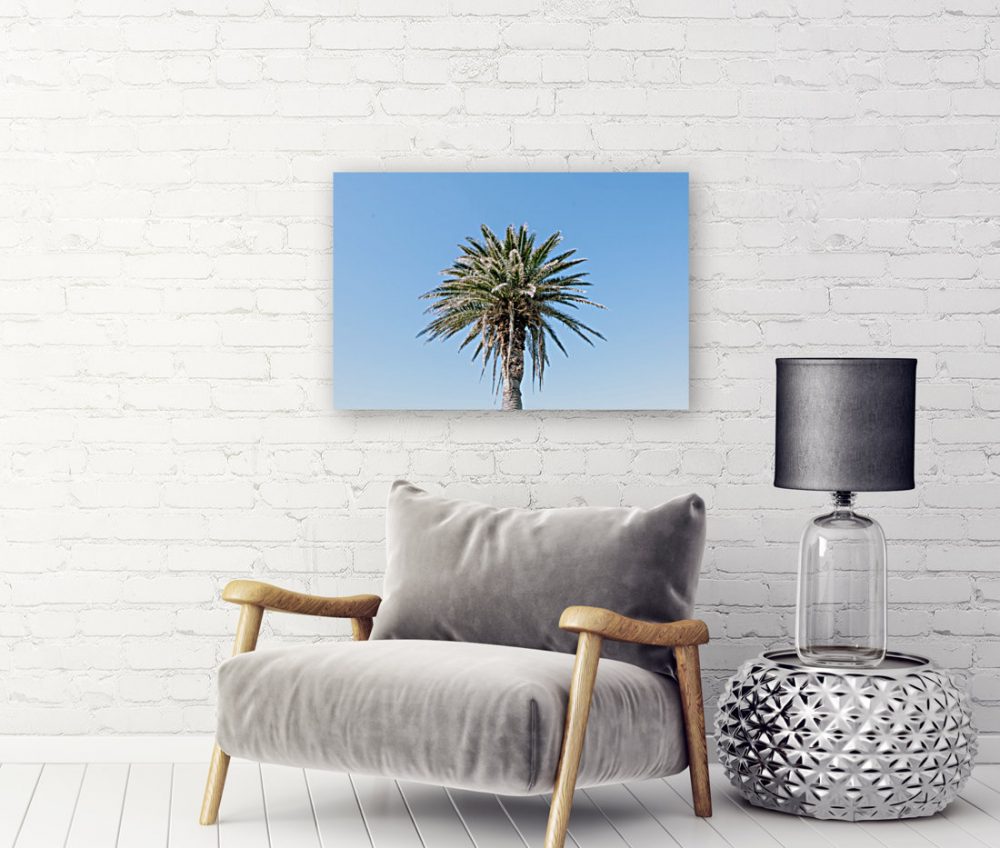 Palm Tree Framed Print