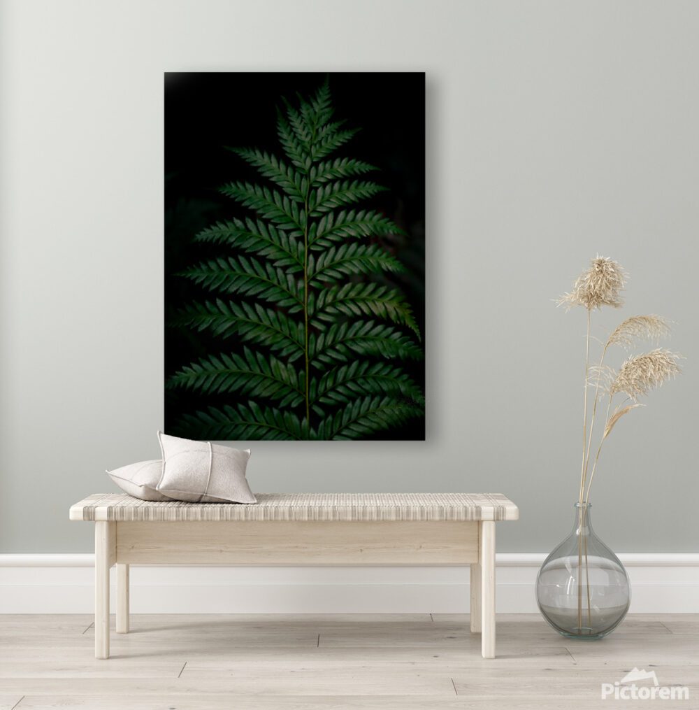 Green fern print