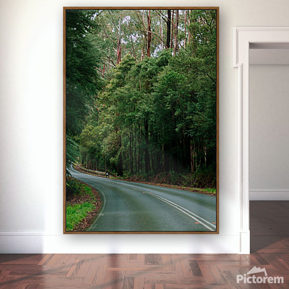 Cape Otway National Park wall art