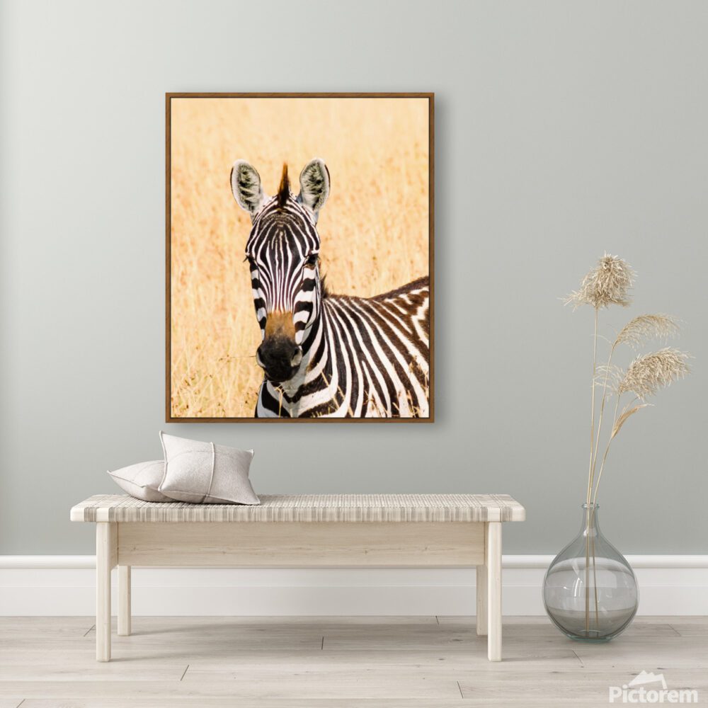 Zebra print