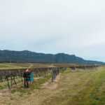 Central Coast elopement photographer