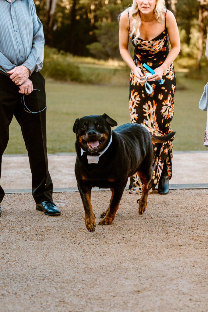 LGBT  wedding photographer