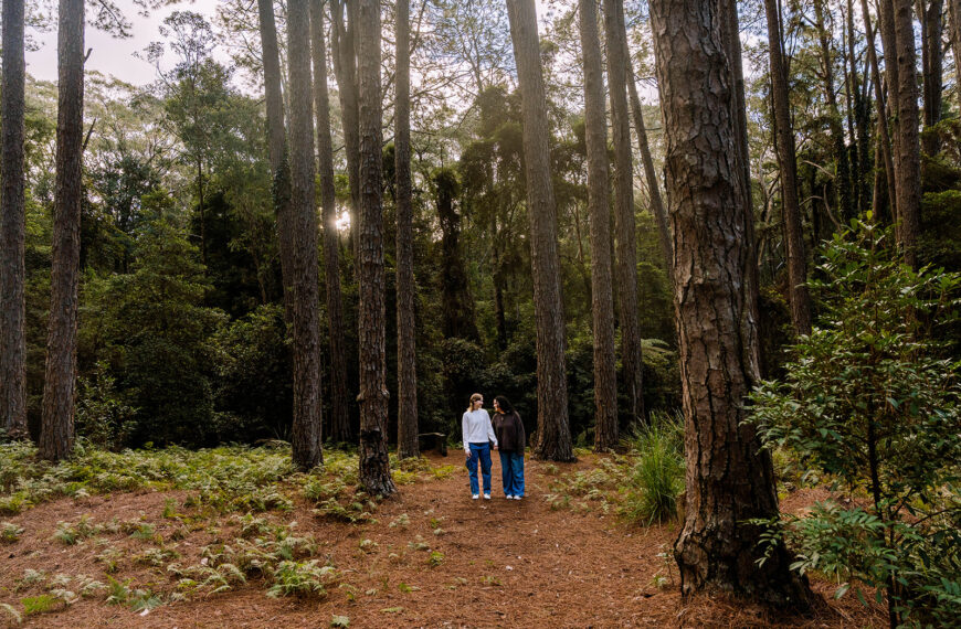 Central Coast wedding photographer
