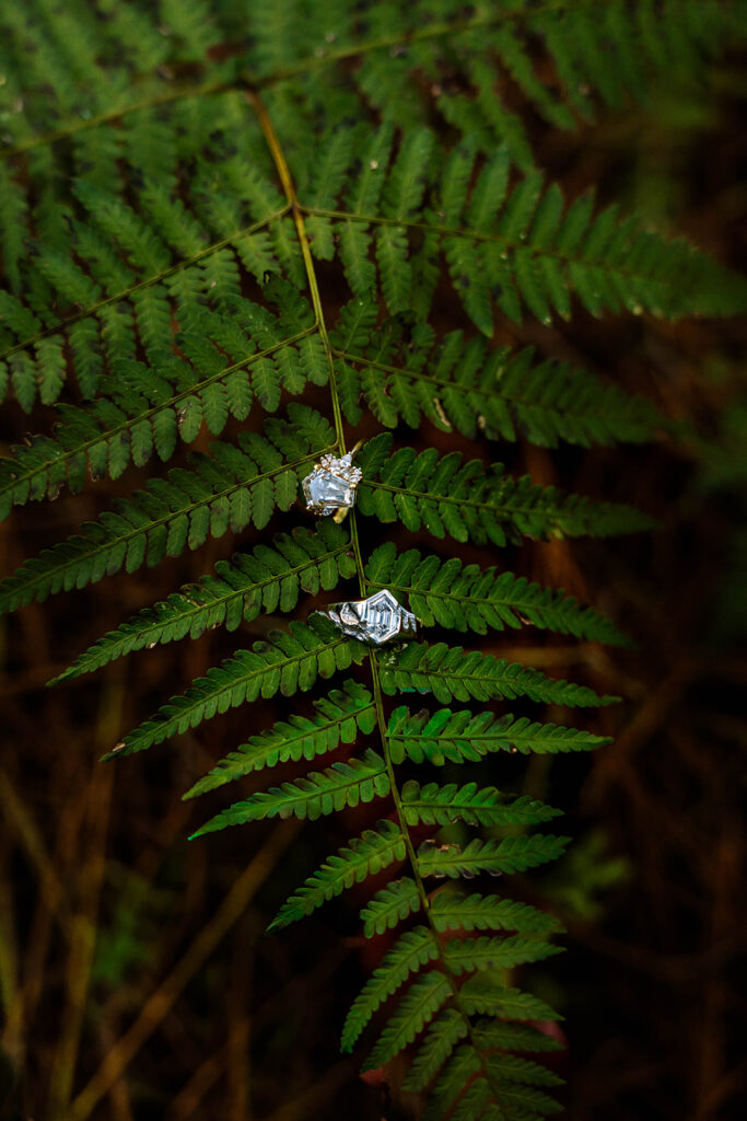 Central Coast elopement photographer